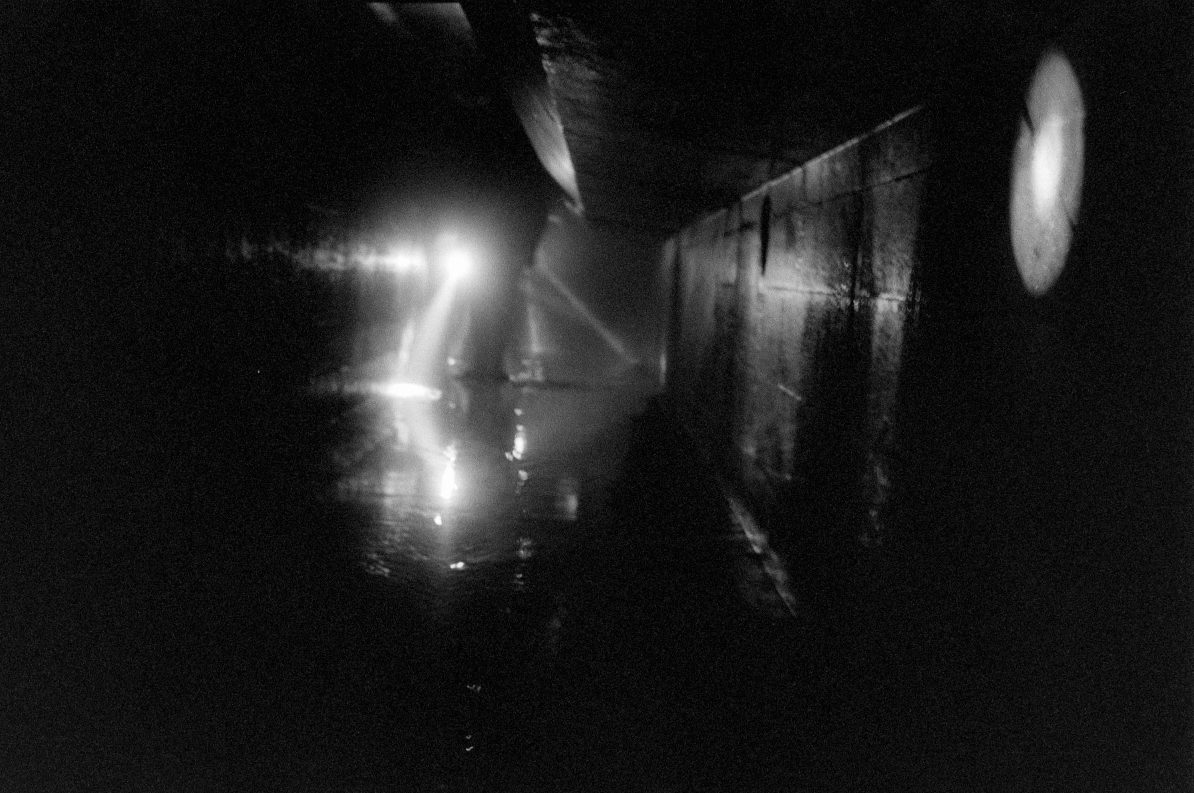 AHP F1994 11 004 sc250521 img10 NLP